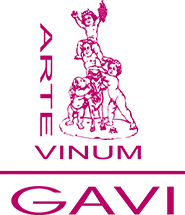 Gavi_Logo